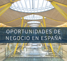 Modulos lateral Oportunidades de Negocio España 20x200