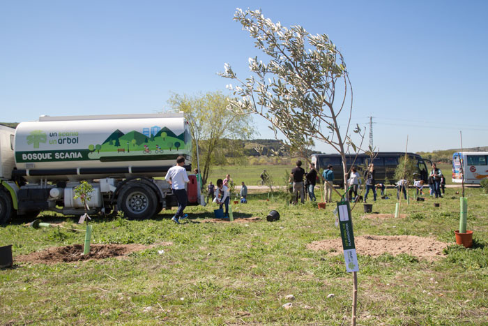 Bosque Scania plantación 2017 1