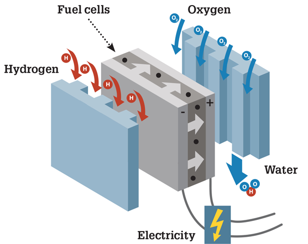 Hydrogen Fuel Cells