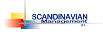 scandinavian management