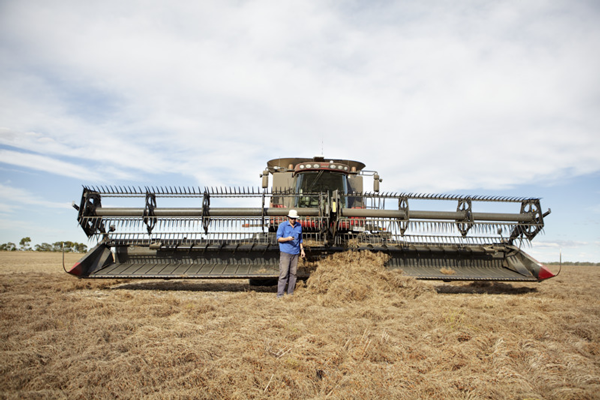 Ericsson CR combine harvester