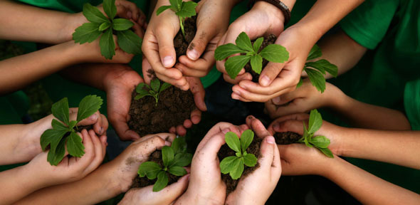 Youth gardening group