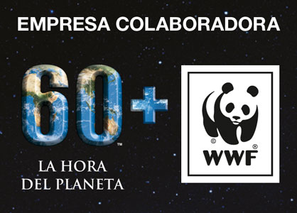 earth hour 300