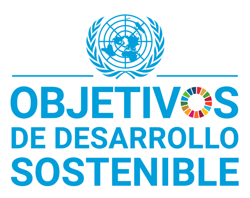 S SDG logo with UN Emblem Square WEB transparent 800x635