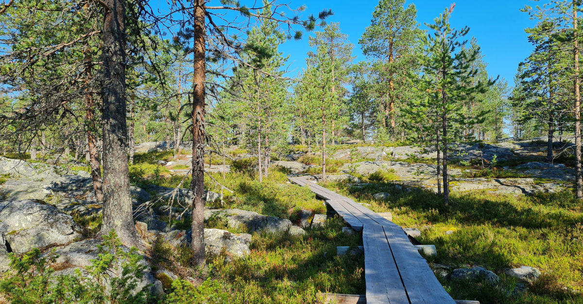 Eurobattery Minerals - EUMINDA: Pensar en el despu&eacute;s desde el principio &ndash; una nueva forma de hacer miner&iacute;a