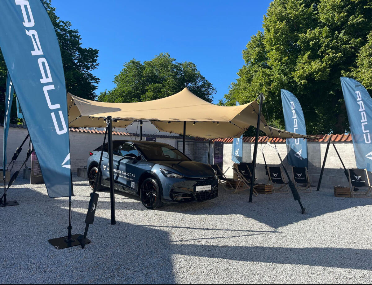 SES VI I ALMEDALEN?