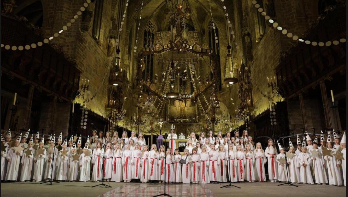 En Strålande Tradition: Svenska Skolans Luciakör i Palmas Katedral 