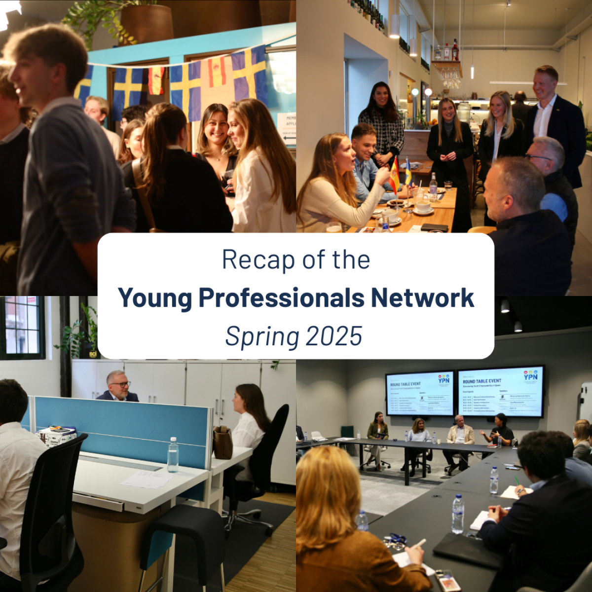 Recap of the Young Professionals Network – Spring 2025