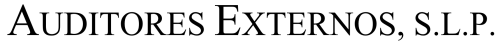 Auditores Externos, S.L.P.